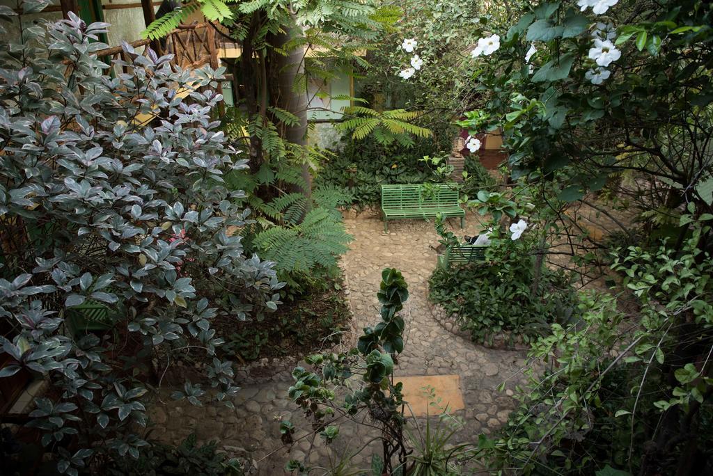 Hostal Dona Chava Pedernales Dış mekan fotoğraf